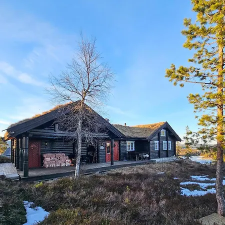 Pet Friendly In With Sauna *