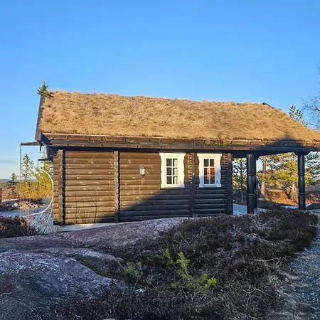 Pet Friendly In With Sauna Holiday home Flesberg